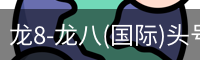 龙8头号玩家国际